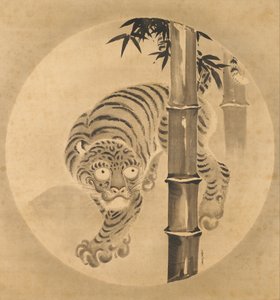 Tigris bambuszból